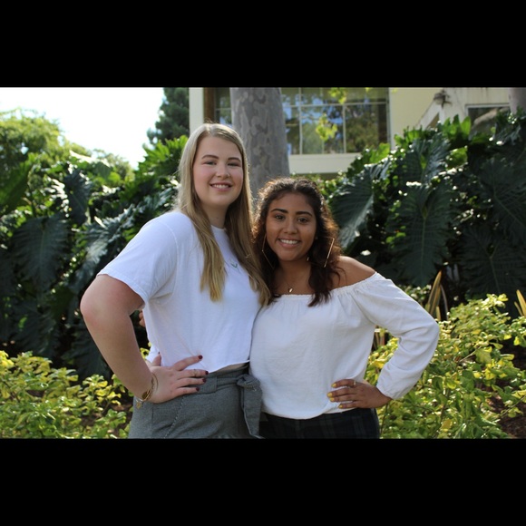 Meet your Posher, Amelia - Picture 2 of 3